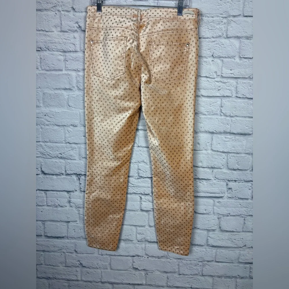 Anthropologie Pilcro Velvet Polka Dot High-Rise Skinny Ankle size 29 - Picture 7 of 8